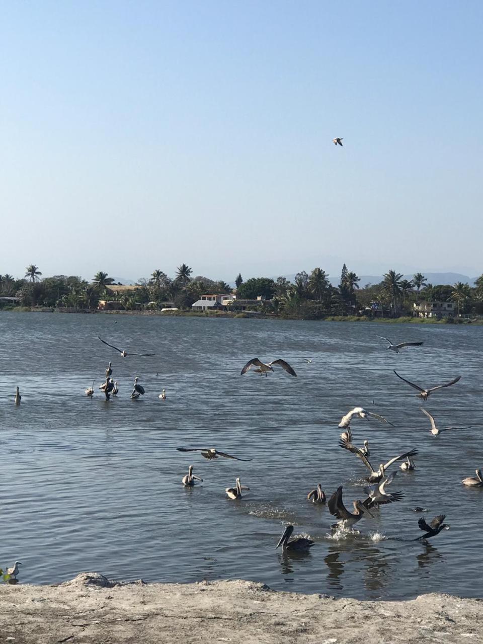 Hotel El Faro Playa Chachalacas エクステリア 写真